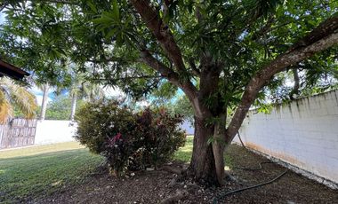 CASA EN VENTA EN DZITYA CON GRAN TERRENO