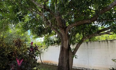 CASA EN VENTA EN DZITYA CON GRAN TERRENO