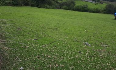 Terreno en venta en los Saúcos, Valle de Bravo.