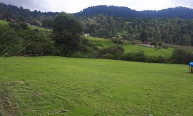 Terreno en venta en los Saúcos, Valle de Bravo.