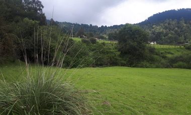 Terreno en venta en los Saúcos, Valle de Bravo.
