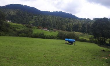 Terreno en venta en los Saúcos, Valle de Bravo.