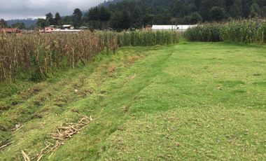 Terreno en venta en los Saúcos, Valle de Bravo.
