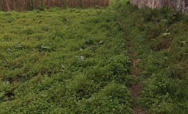 Terreno en venta en los Saúcos, Valle de Bravo.