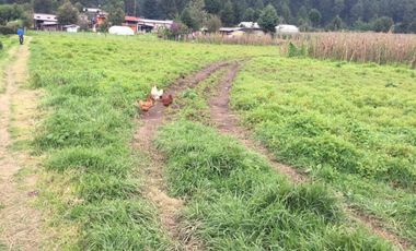 Terreno en venta en los Saúcos, Valle de Bravo.
