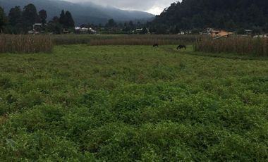 Terreno en venta en los Saúcos, Valle de Bravo.
