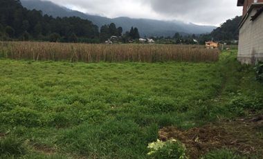 Terreno en venta en los Saúcos, Valle de Bravo.