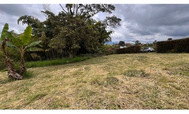 VENTA DE ESPECTACULAR LOTE CAMPESTRE SECTOR LA CASONA VIA ARMENIA