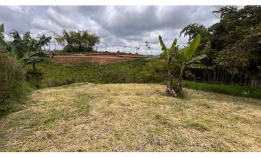 VENTA DE ESPECTACULAR LOTE CAMPESTRE SECTOR LA CASONA VIA ARMENIA