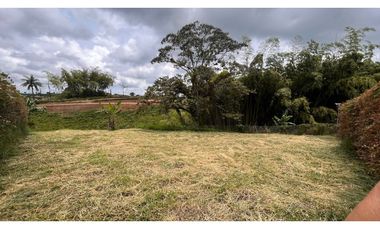 VENTA DE ESPECTACULAR LOTE CAMPESTRE SECTOR LA CASONA VIA ARMENIA