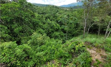 Lote en venta, V. Tafetanes, San Jerónimo