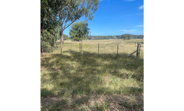 terreno parque calle 60 entre 173 y 175