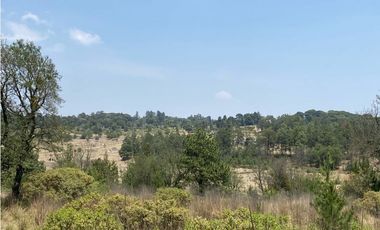 Venta Terreno Rústico en Omitlán de Juárez, 18,663 m²