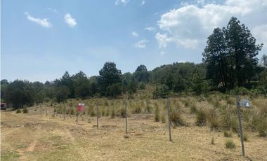 Venta Terreno Rústico en Omitlán de Juárez, 18,663 m²