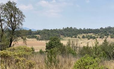 Venta Terreno Rústico en Omitlán de Juárez, 18,663 m²