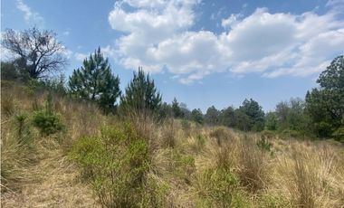 Venta Terreno Rústico en Omitlán de Juárez, 18,663 m²