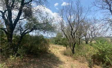 Venta Terreno Rústico en Omitlán de Juárez, 18,663 m²