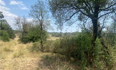 Venta Terreno Rústico en Omitlán de Juárez, 18,663 m²