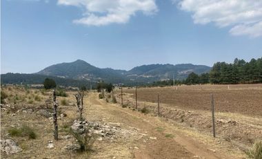 Venta Terreno Rústico en Omitlán de Juárez, 18,663 m²