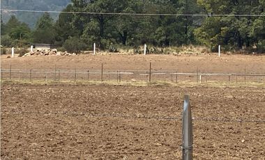 Venta Terreno Rústico en Omitlán de Juárez, 18,663 m²