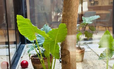 Casa tipo TOWN HOUSE en Venta en  Temozon Norte