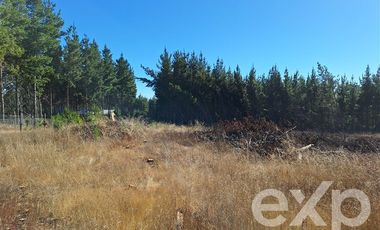 Sitio en Venta en Sitio L178 5.000m2