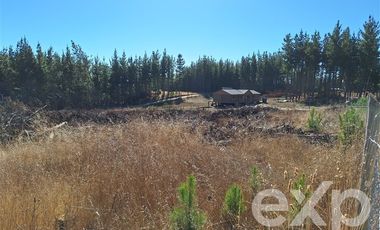 Sitio en Venta en Sitio L178 5.000m2