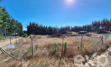 Sitio en Venta en Sitio L178 5.000m2
