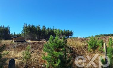 Sitio en Venta en Sitio L178 5.000m2