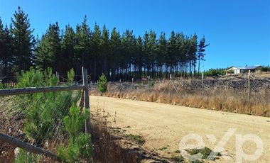 Sitio en Venta en Sitio L178 5.000m2