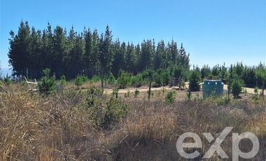Parcela en Venta en Sitio L178 5.000m2