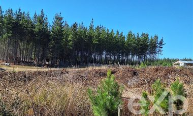 Parcela en Venta en Sitio L178 5.000m2