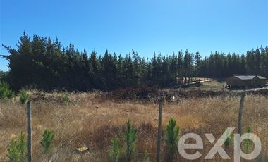 Parcela en Venta en Sitio L178 5.000m2
