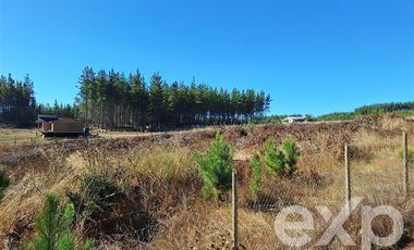 Parcela en Venta en Sitio L178 5.000m2
