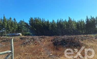 Terreno Construccion en Venta en Sitio L178 5.000m2