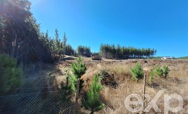 Terreno Construccion en Venta en Sitio L178 5.000m2