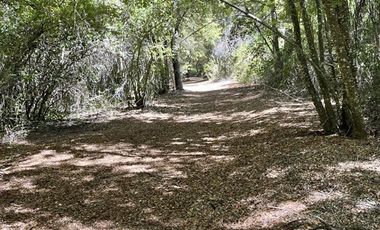 Sitio en Venta en Reserva Privada La Invernada Curicó