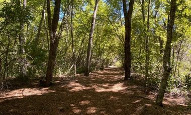 Sitio en Venta en Reserva Privada La Invernada Curicó