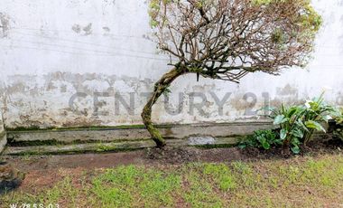 Arriendo casa en Conocoto, Avenida Ilalo