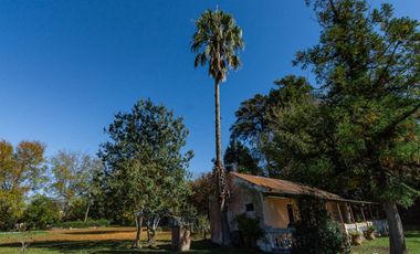 VENTA CASA QUINTA 20 DE JUNIO ZONA OESTE GBA
