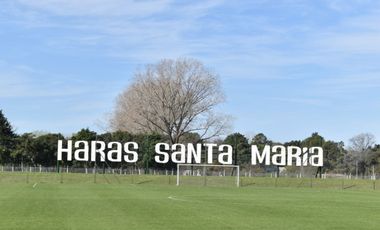 VENTA LOTE HARAS SANTA MARÍA BARRIO LOS ROBLES