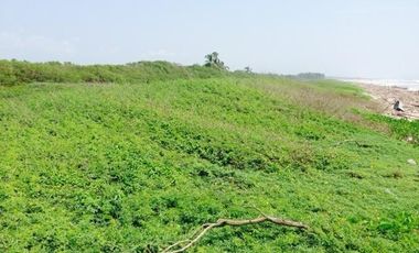 Terreno en Venta Joluta Guerrero