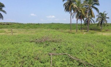 Terreno en Venta Joluta Guerrero