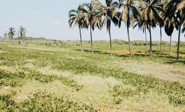 Terreno en Venta Joluta Guerrero