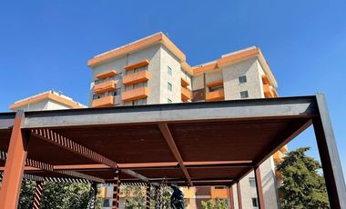 Locales - oficinas Renta Reforma Social