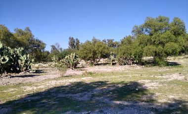 Terreno grande en Tula