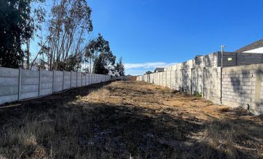 Amplio terreno en arriendo, SIN ROL, Av. Guillermo Ulriksen, La Serena