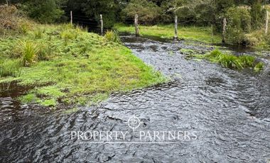 Excelente campo agrícola en Los Muermos