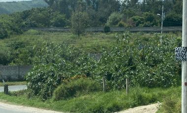 Venta de terreno sector Colegio Pachamama