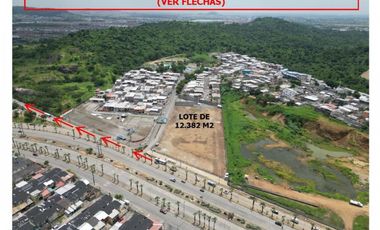 AV FRANCISCO ORELLANA se vende terreno comercial 12000 m2